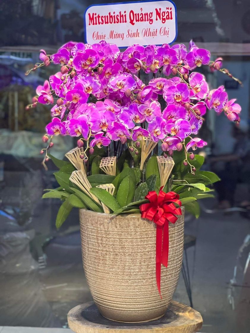 Thiên niên vạn lộc 02