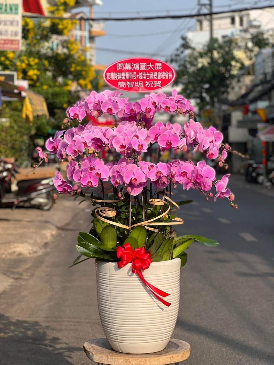 Lộc trường phát 04