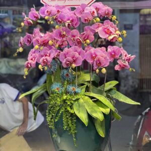 Lộc trường phát 02