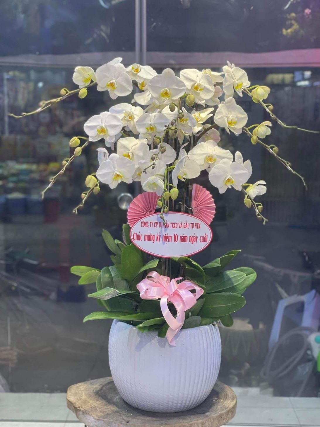 Gia chủ phát tài 02