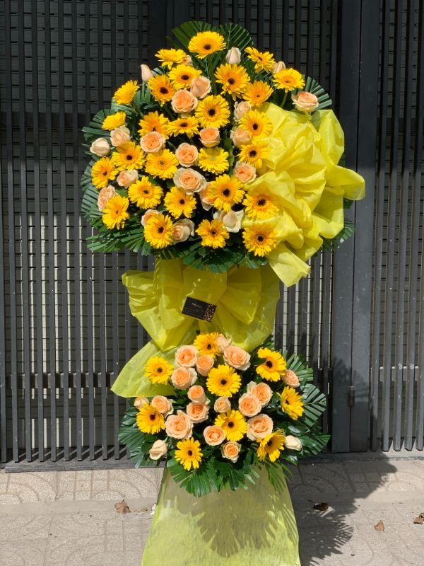 Thành công dẫn đầu 01