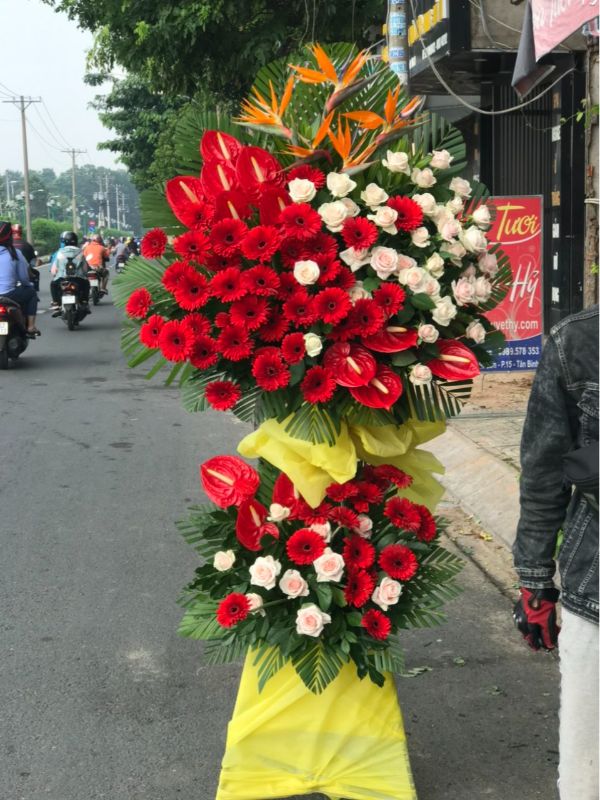 Khát vọng vươn xa 01