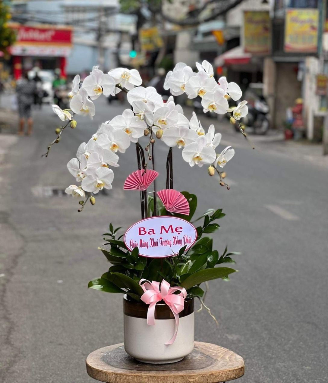 Gia chủ phát tài 03