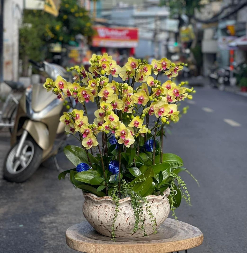 Thiên niên vạn lộc 05